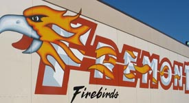 Fremont Firebirds 250